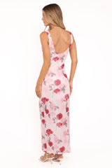 Brissa Maxi Dress - Pink Floral