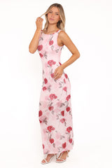 Brissa Maxi Dress - Pink Floral