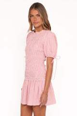 Kaelyn Gather Mini Dress - Pink Stripe