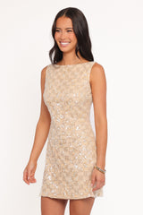 Pasha Mini Dress - Mango Sequin
