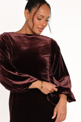 Twylar Long Sleeve Velvet Mini Dress - Brown