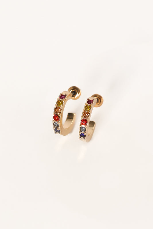 Felix 5 Pack Earring Set - Multi