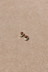 Nova Earrings - Brown/Gold
