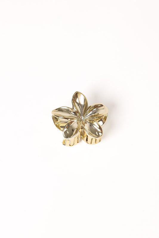 Tiarne Hair Clip - Gold