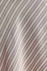 Corrina Midi Skirt - Stripe