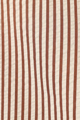 Kennie Shorts - Brown Stripe