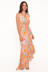 Alkira Maxi Dress - Orange Summer Garden