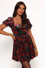 Anders Mini Dress - Black/Red