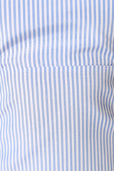 Libbie Mini Dress - Blue Stripe