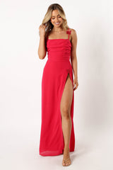 Monarch Maxi Dress - PInk