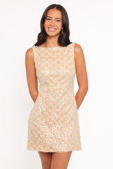 Pasha Mini Dress - Mango Sequin