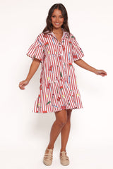 Peachy Mini Dress - Red Picnic Stripe