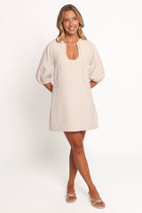 Sidney Mini Dress - Tan Stripe