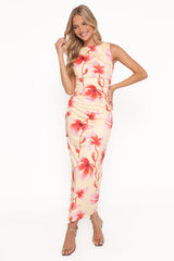 Tamzyn Maxi Dress - Pink Floral