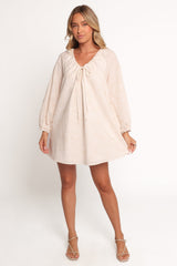 Walker Smock Mini Dress - Tan Swirl