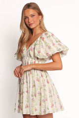 Zadie Mini Dress - Light Green